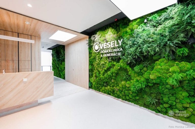 Originálne machové steny na mieru - Mossdesign
