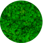 addon_img