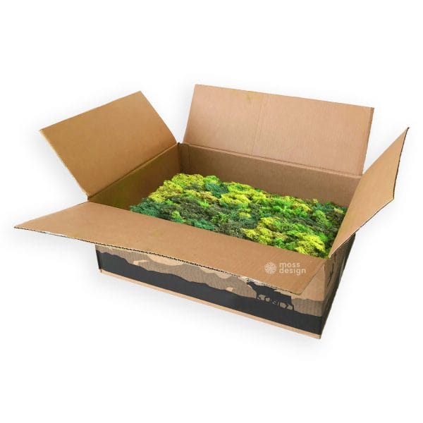 Severský lišajník - odrezky 2,5kg - zelený mix