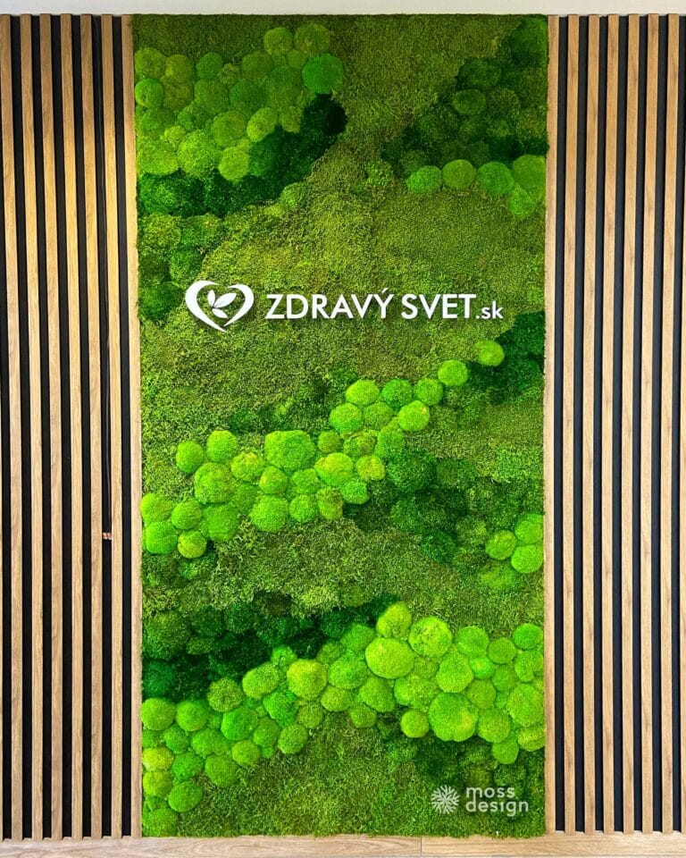 zdravysvet.sk - machova stena - Považská Bystrica