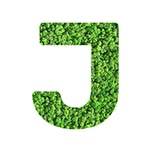 addon_img
