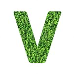 addon_img