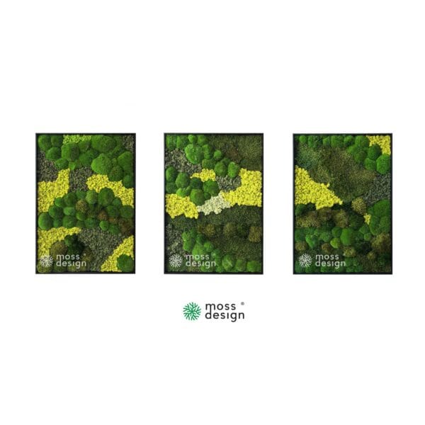 TRIO VERDANT