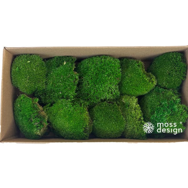 Stabilizovaný kopcovitý mach Bolmoss - tmavý - 0,2m²